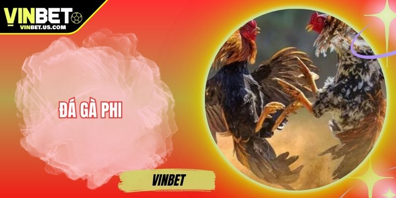 Đá Gà Phi Online – Tỷ Lệ Trả Thưởng Cao Tại Vinbet