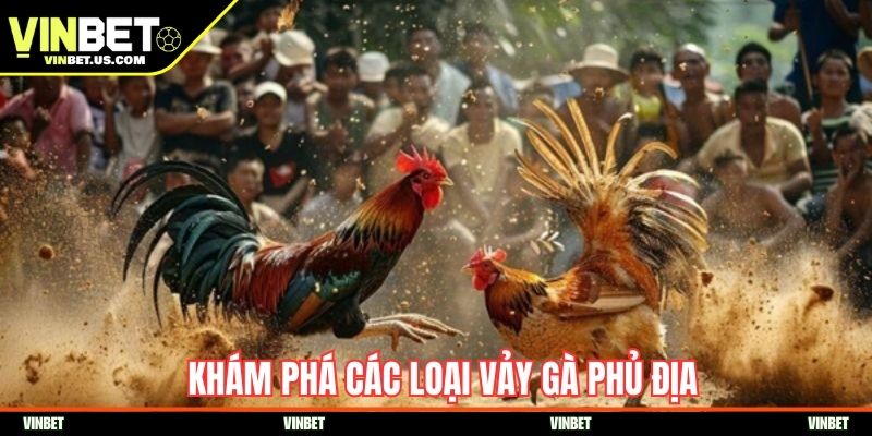 Khám phá các loại vảy gà phủ địa