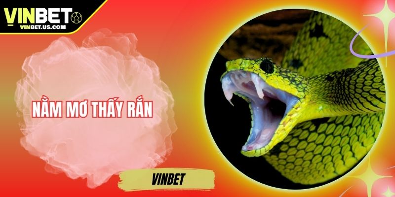 Nằm Mơ Thấy Rắn - Điềm Báo Và Cách Thử Vận May Tại Vinbet